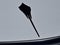 2024 Chevrolet Corvette Stingray Stingray Coupe 2LT