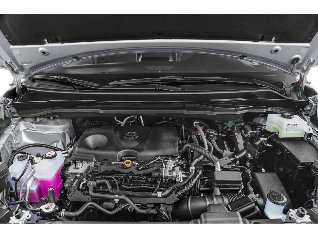 2021 Toyota Sienna XLE AWD 7-Passenger (Natl)