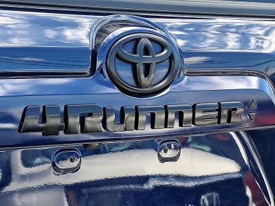 2024 Toyota 4Runner SR5 Premium 4WD (Natl)