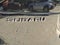 2026 Subaru Forester Sport AWD