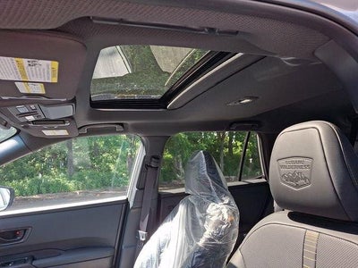 2026 Subaru Outback Wilderness AWD