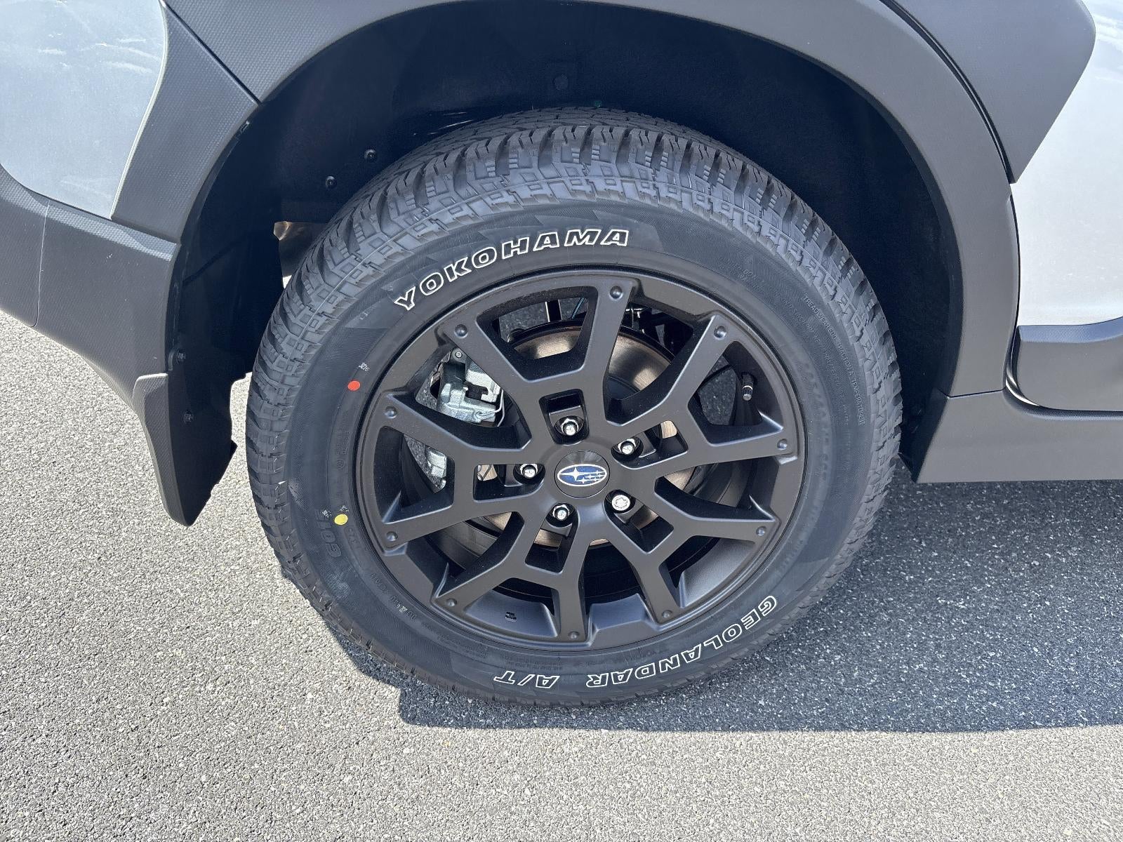 2025 Subaru Crosstrek Wilderness AWD