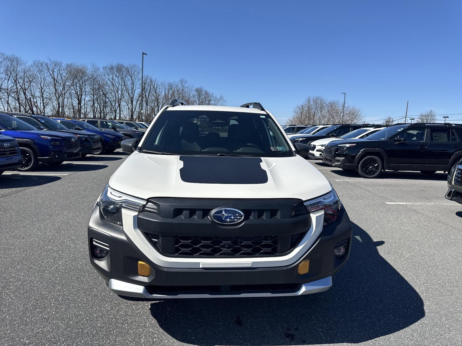 2026 Subaru Forester Wilderness CVT