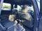 2026 Subaru Outback Premium AWD
