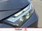 2023 Toyota RAV4 XLE Premium AWD (Natl)