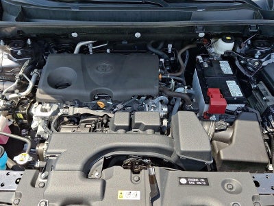 2025 Toyota RAV4 XLE AWD (Natl)