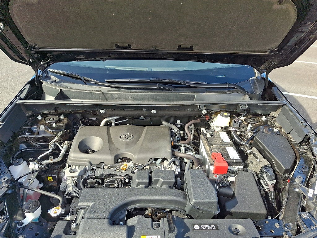 2025 Toyota RAV4 XLE CERTIFIED