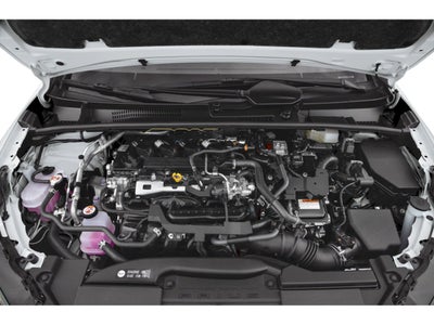 2026 Toyota Prius XLE (Natl)