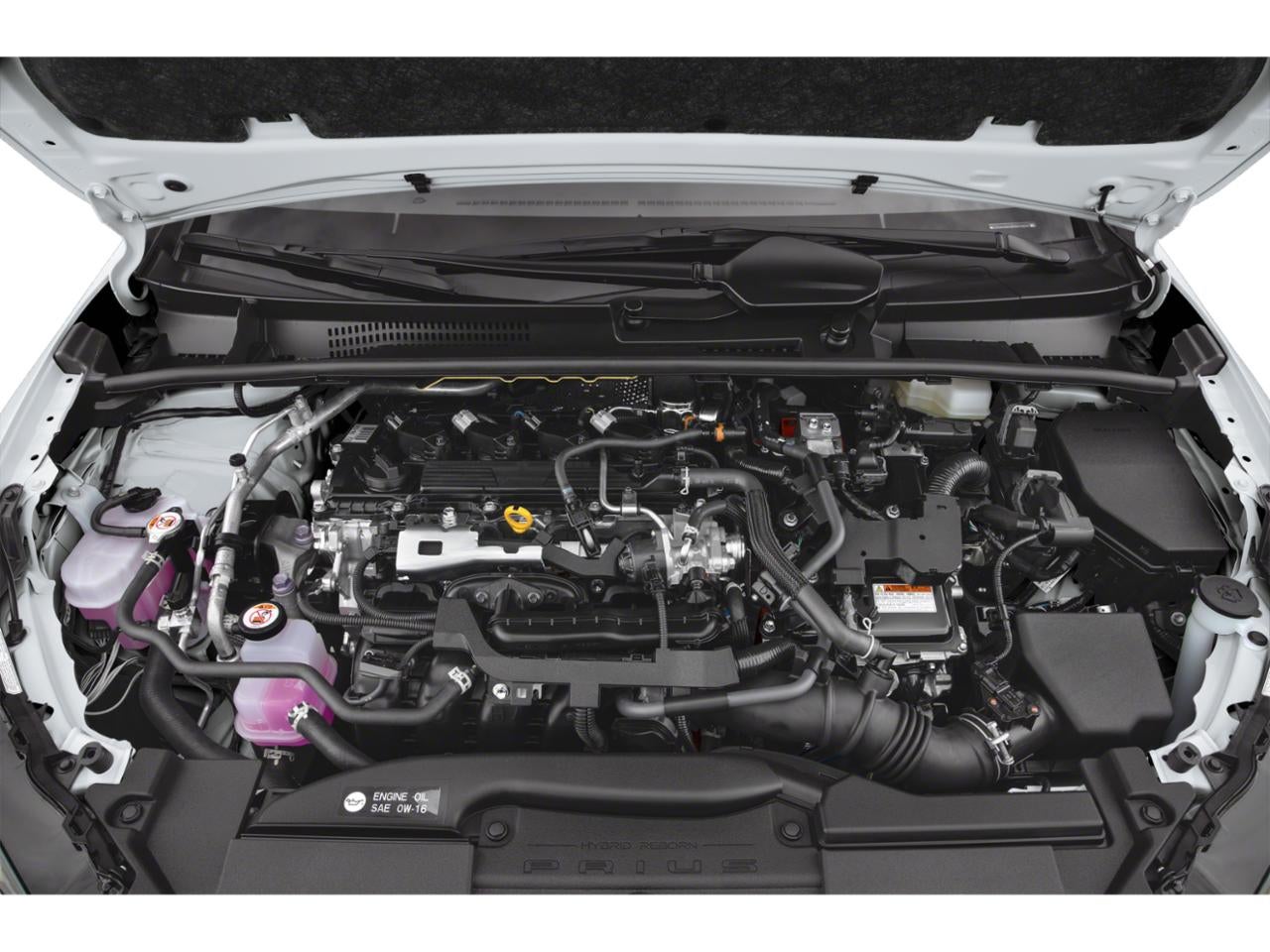 2026 Toyota Prius XLE (Natl)