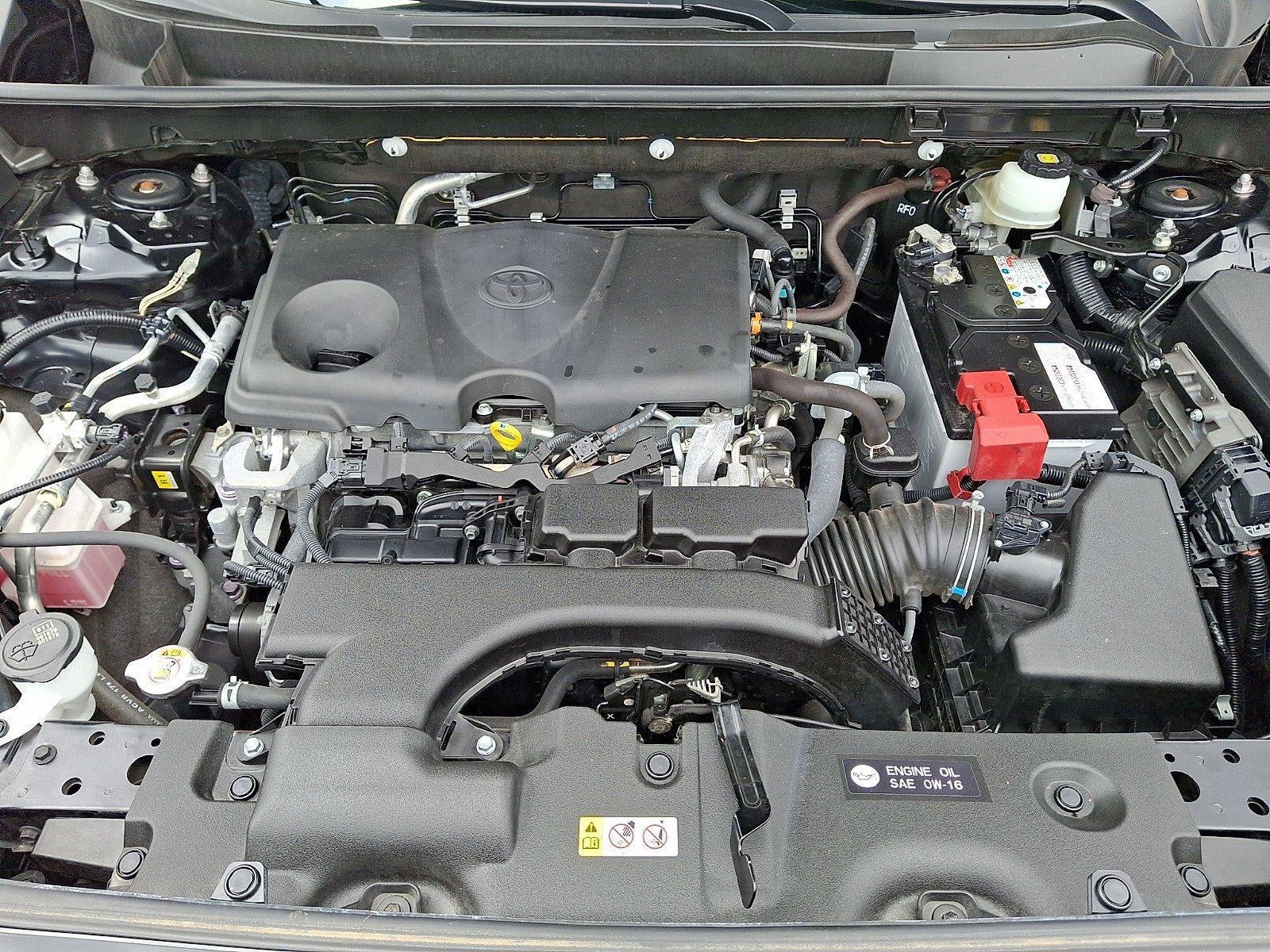 2019 Toyota RAV4 LE AWD (Natl)