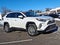 2024 Toyota RAV4 Limited AWD (Natl)