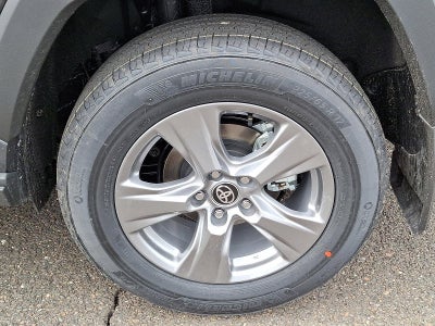 2025 Toyota RAV4 XLE AWD (Natl)