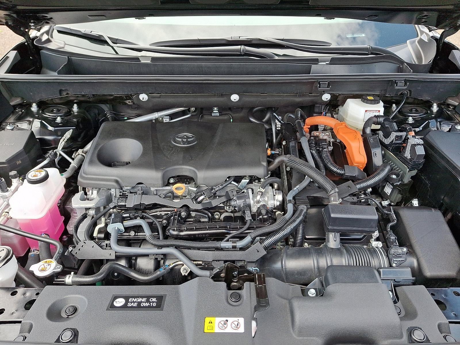 2025 Toyota RAV4 Hybrid Woodland AWD (Natl)