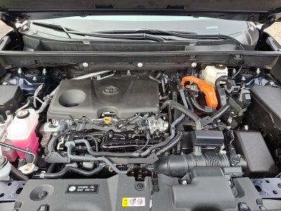 2025 Toyota RAV4 Hybrid XLE AWD (Natl)