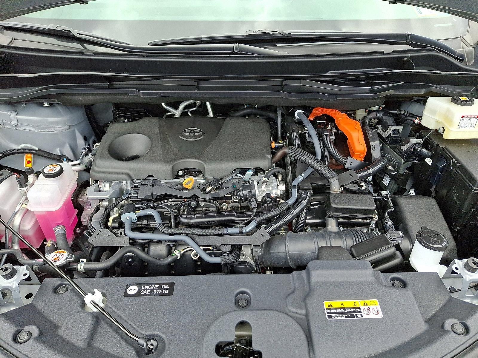2025 Toyota Sienna Woodland Edition AWD 7-Passenger (Natl)
