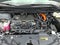 2025 Toyota Sienna Woodland Edition AWD 7-Passenger (Natl)