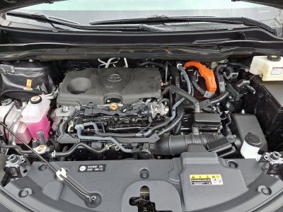 2025 Toyota Sienna XLE AWD 7-Passenger (Natl)