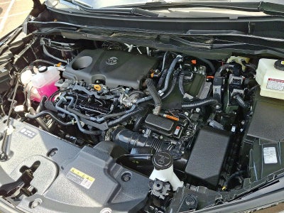 2025 Toyota Sienna XSE FWD 7-Passenger (Natl)