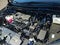 2025 Toyota Sienna XLE FWD 8-Passenger (Natl)