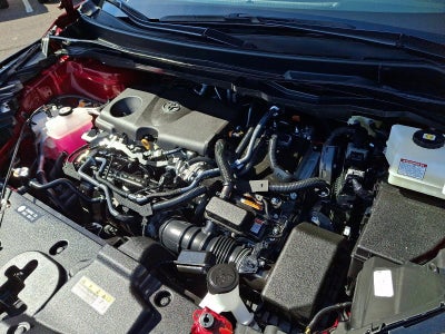 2025 Toyota Sienna XLE FWD 8-Passenger (Natl)