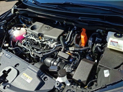2025 Toyota Sienna XLE AWD 7-Passenger (Natl)