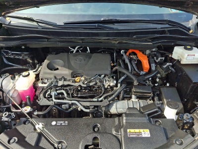 2023 Toyota Sienna XLE AWD 7-Passenger (Natl)
