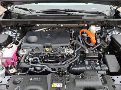 2025 Toyota RAV4 Hybrid XLE AWD (Natl)