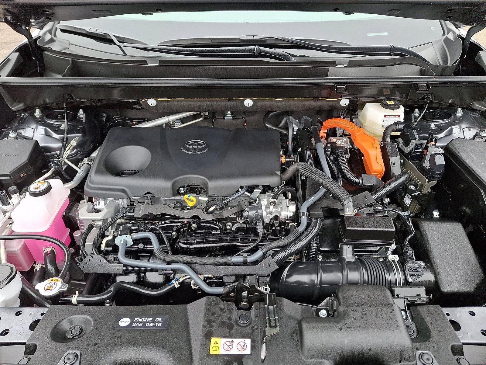 2025 Toyota RAV4 Hybrid XLE AWD (Natl)