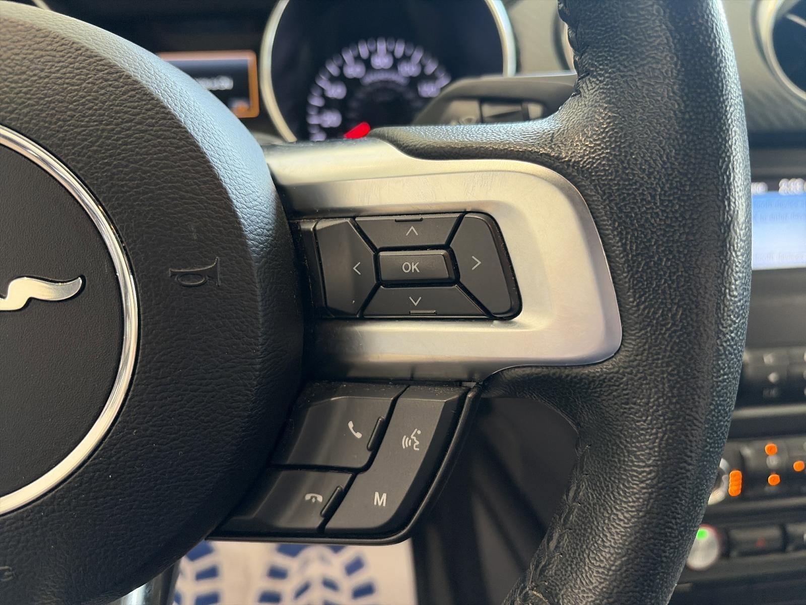 2019 Ford Mustang EcoBoost Fastback