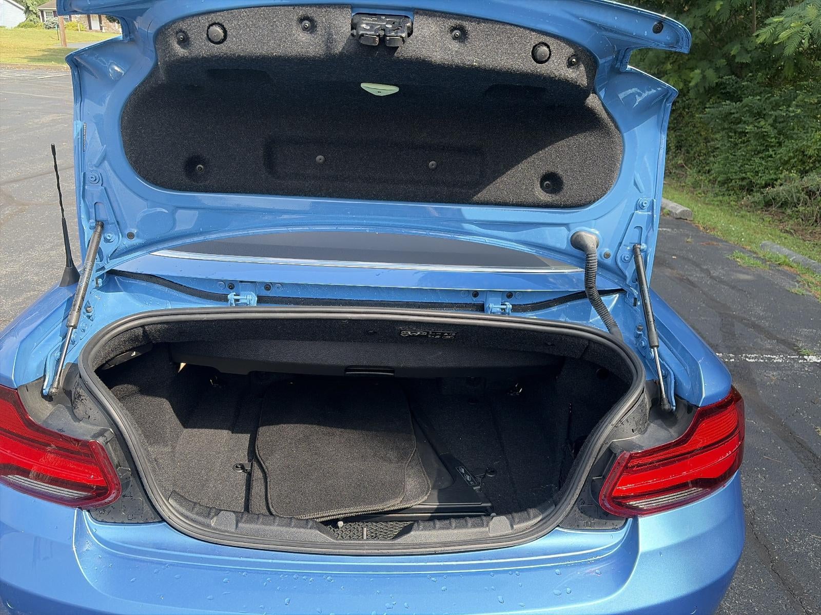 2020 BMW 230i Convertible