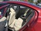 2015 Volvo S60 2015.5 4dr Sdn T5 Platinum AWD