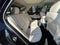2024 Mercedes-Benz GLE GLE 350 4MATIC® SUV
