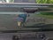 2027 RAM 1500 Rebel 4x4 Crew Cab 5'7" Box
