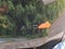 2027 Nissan Rogue Rock Creek®