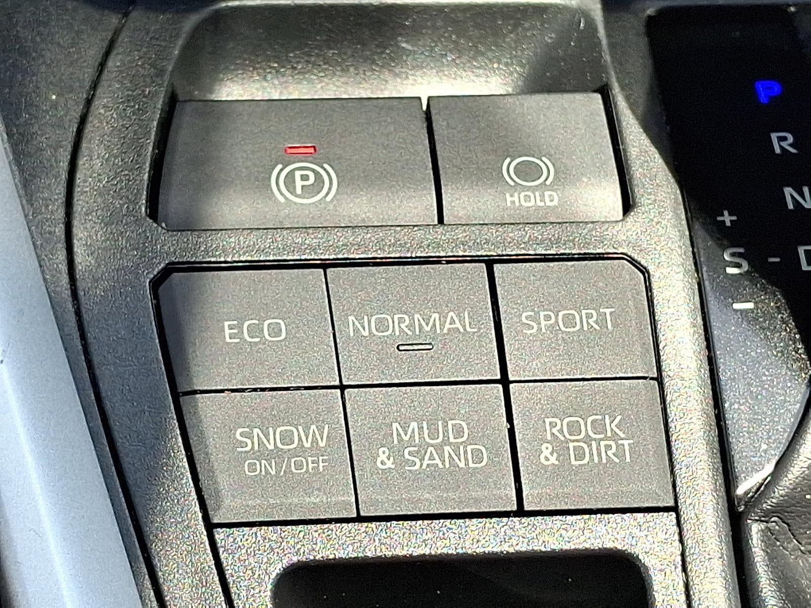 2019 Toyota RAV4 XLE Premium AWD (Natl)