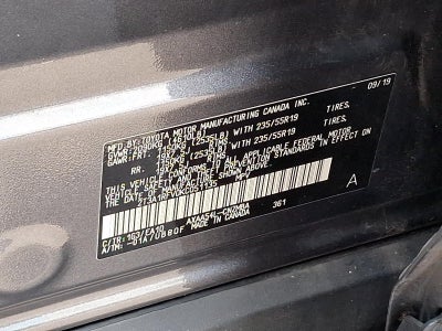 2019 Toyota RAV4 XLE Premium AWD (Natl)