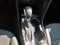 2023 Buick Encore GX Select AWD