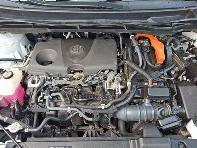 2021 Toyota Sienna XLE AWD 7-Passenger (Natl)