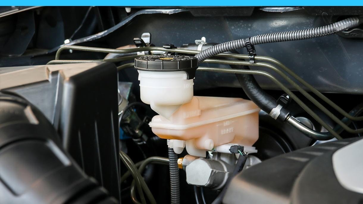 transmission fluid container under the hood